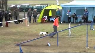 Neoficiální závody agility Most 27.3.2011