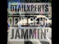 DTAIL XPERTS - DENT GENIE Jammin'