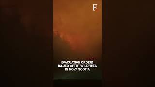 Devastating Eyewitness Footage Shows Extent of Wildfires in Canada’s Nova Scotia