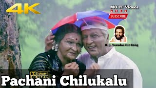 Pachani Chilukalu || Bharateeyudu || Telugu Movie 4K Video Song Dolby Digital 5.1 Audio