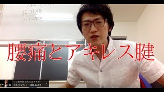 徳島腰痛　あなたと腰痛とアキレス腱