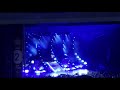 Look what God gave her! Thomas Rhett DTE 6-20-19 opening song