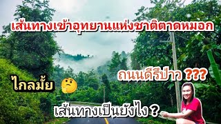 เส้นทางเข้าอุทยานแห่งชาติตาดหมอกไกลมั้ย? เส้นทางเป็นยังไง ? ถนนดีรึป่าว?