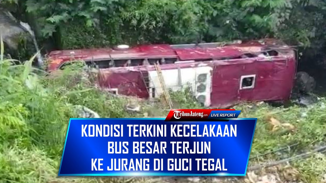 🔴 LIVE Kondisi Terkini Kecelakaan Bus Pariwisata Terjun Ke Jurang Di ...