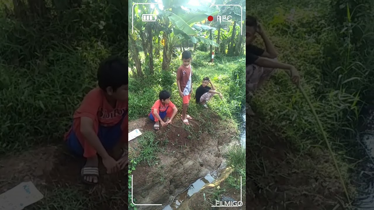 Bocah Youtube