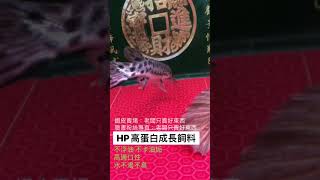 HP高蛋白成長飼料008-火箭