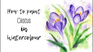 How to paint a crocus in Watercolour - Full tutorial for beginner/intermediate