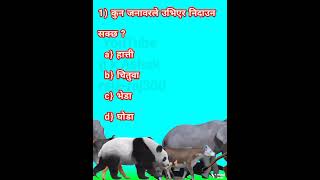 कुन जनावरले उभिएर निदाउन सक्छ ?Which animal can sleep standing up? kun janawar le ubhier nidaun sakx