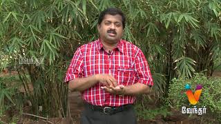 பழம் சாப்பிட சரியான நேரம்..? Dr.Ku.Sivaraman 's Healthy Tips