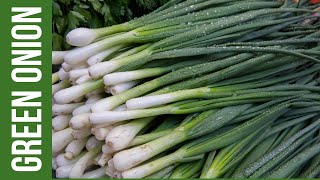 OU Culinary Medicine | How to Cut Green Onion