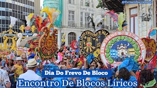 Encontro De Blocos Líricos No Recife Antigo ( Dia do frevo de bloco)