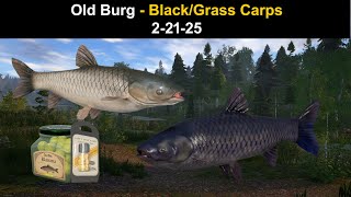 Russian Fishing 4, Old Burg - Black/Grass Carps  2-21-25