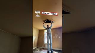 You Won’t Believe What the Previous Tenants Covered Up! 😲