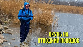 Вискочили на декілька годин Половити ОКУНЯ на Отводний поводок