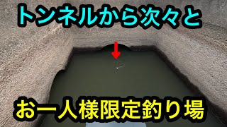 「トンネルから次々と」お一人さま限定2024.10.27