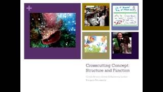 Next Generation Science Standards Crosscutting Concepts: Structure and Function