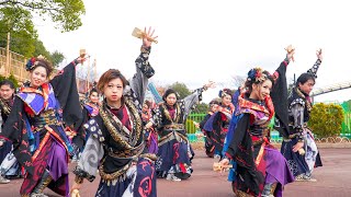 [4K] 百華夢想　犬山踊芸祭 2021 1日目 プレジャーランド会場 (中央)