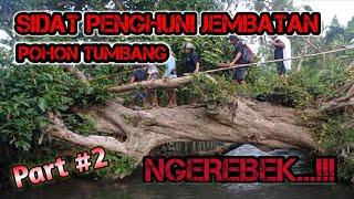 PETUALANG DEWATA | BERBURU SIDAT PENGHUNI JEMBATAN POHON BONI TUMBANG Part #2 | AUTO NGEREBEK...