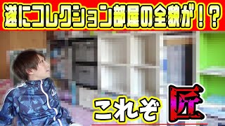 あれこれ運び込んだら完全にコレクション部屋っぽくなってきた！