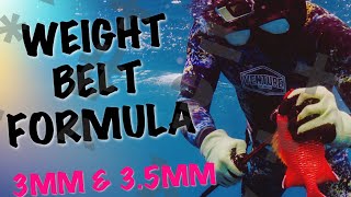 Weight Belt Formula For 3MM & 3.5MM Wetsuit - How Much Weight Should You Have On Your Weight Belt?