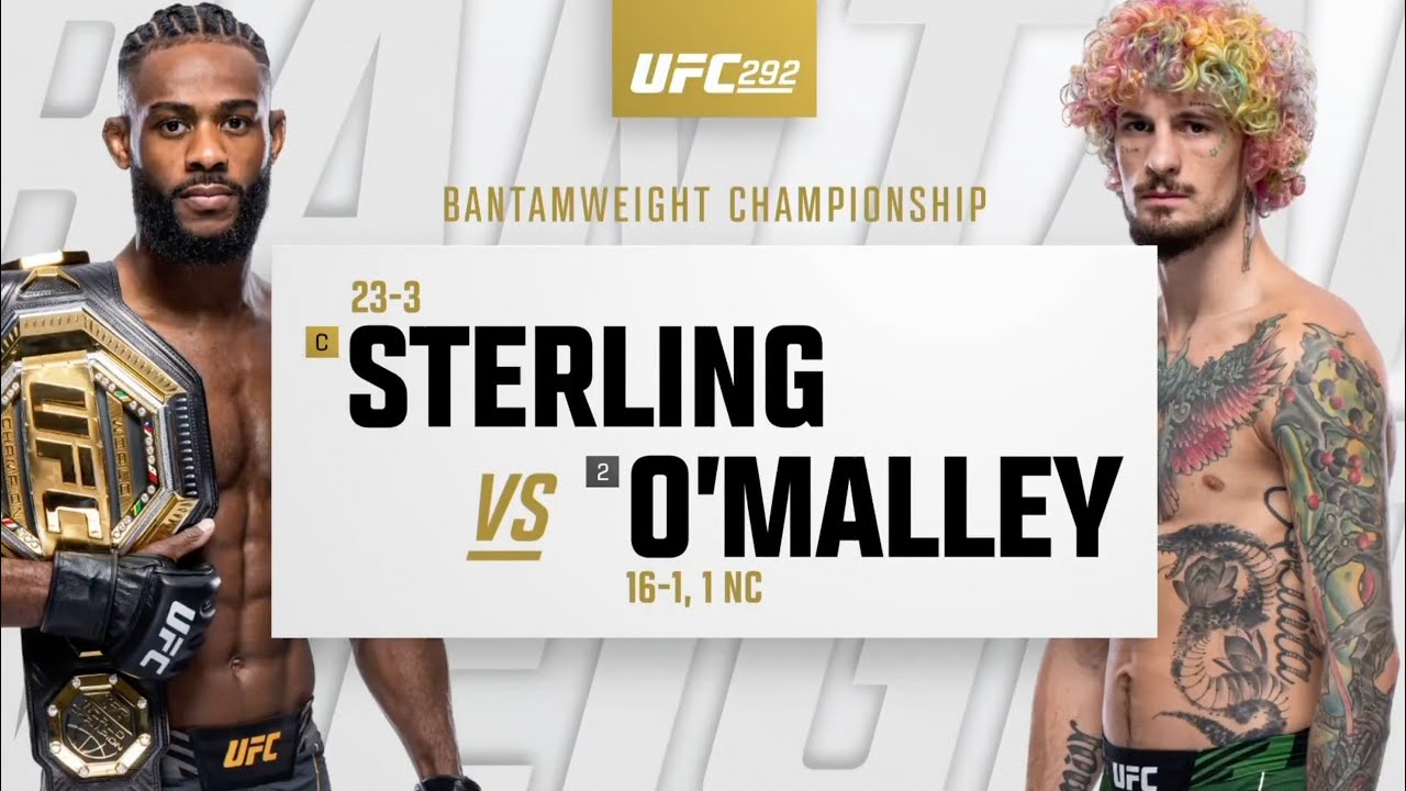 UFC 292: Aljamain Sterling Vs Sean O'Malley Highlights - YouTube