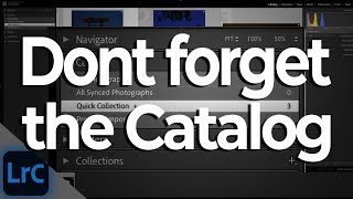 How to use the Catalog Panel in Lightroom Classic | PPT LrC