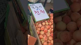 앗! 딱딱이가 4개에 천원? Good price of Korean peach !!! #재래시장#koreamarket #streetfood