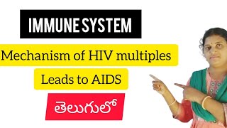 Immune system | Mechanism of HIV multiples leads to AIDS in telugu | Neet biology | by prashathi mam