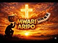 Mwari Aripo – Uplifting Zim Afro Gospel Song | VybzCraft Music