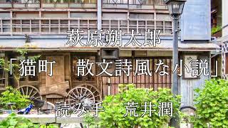 【朗読】萩原朔太郎「猫町」　名作文学で安眠しよう会【睡眠導入】