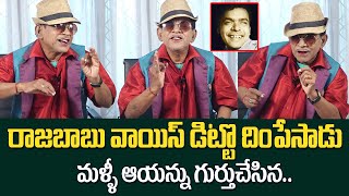 రాజబాబు వాయిస్ డిట్టో దింపేసాడు | Jr Rajababu Anandkumar Mimicry Performance | Raja Babu | Stv