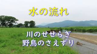 【水の流れ 川のせせらぎ、野鳥のさえずり】ヨシキリ、うぐいす、キジなど。実録 自然音。 The babbling of the river, the chirping of wild birds.