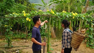 Pressure from his mother couldn't stop Nam from staying with Tieu Sa to build a new farm.