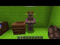 【マイクラ】1.14アップデートで新登場したアイテムを紹介 【minecraft】