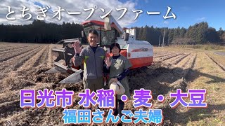 【とちぎオープンファーム】日光市の大豆農家さんを訪問！