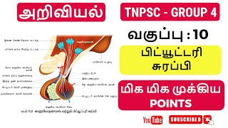 🛑அறிவியல் இதை படிங்க போதும்🛑 tnpsc group 4 2024 syllabus study plan |#tnpsc