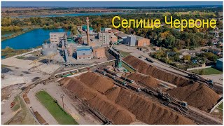 Селище Червоне, Житомирська обл., Україна / Chervone,Zhytomyr region,Ukraine, 02.10.21 #терещенко