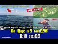 Unbelievable Fishing Technique In Jaffna, Sri Lanka I Live View Of Diving And Fishing In Underwater