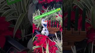 #Disney|WORLD: Olaf Celebrates…Kwanzaa? 🤭😉 #shorts #shortsvideo