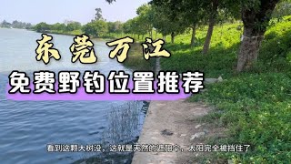 东莞万江儿童公园对面免费野钓位置推荐