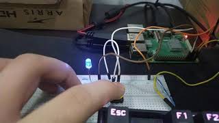 The raspberry Pi platform and Python Programming for the Raspberry Pi - Module 4 peer assignment