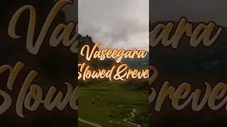 Vaseegara |(Slowed&reverb)#vaseegara #vaseegararemix