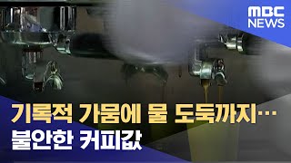 기록적 가뭄에 물 도둑까지…불안한 커피값 (2021.07.26/뉴스투데이/MBC)