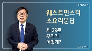 11-23 오늘의 말씀｜소요리문답 제29문｜우리가 어떻게?｜주호영 목사