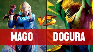 【SF6】MAGO(CAMMY) vs DOGURA(BLANKA) ▰ Street Fighter 6 | High Level Gameplay