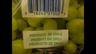 Chilean fruit exports in the USA