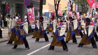 2011新横浜黒船祭 良い世さ来い 真舞會 「舞・MUJOH（無常）」アリーナ通り南