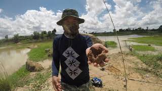 Fishing, Fishing videos I Fishing a pangasius fish (Sutchi catfish)