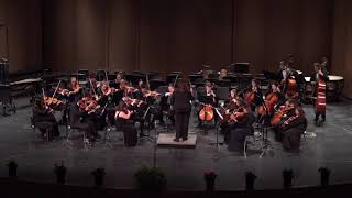 WHS Chamber Orchestra 5.11.19 Music a la Mode