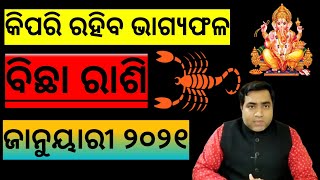 Bichha Rashi January 2021 l ବିଛା ରାଶି ଜାନୁୟାରୀ ୨୦୨୧ l Scropio horoscope Jan 2021